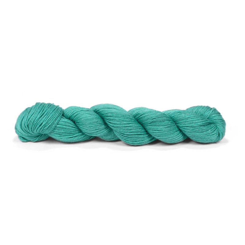 Pascuali Pinta Merino Silk Ramie Fingering Knitting Yarn