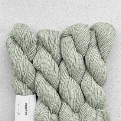 Pascuali Sayama Llama Wool DK Yarn