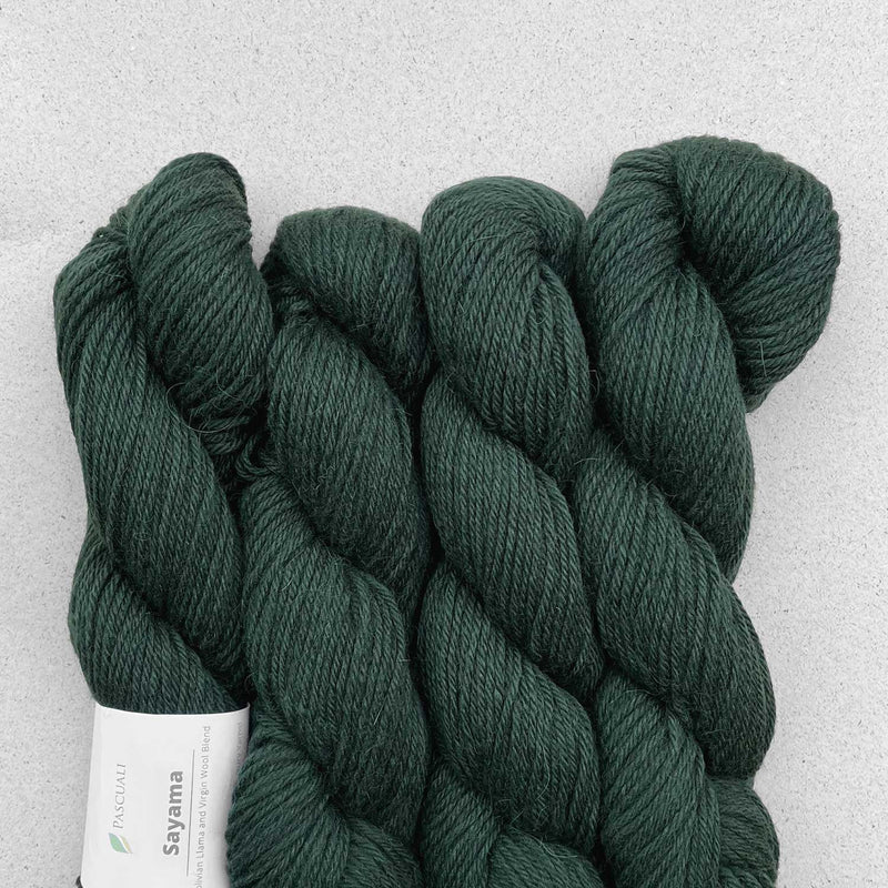 Pascuali Sayama Llama Wool DK Yarn