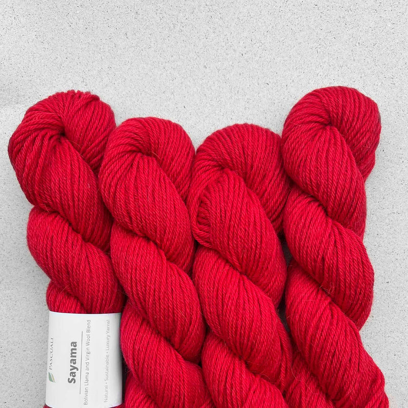 Pascuali Sayama Llama Wool DK Yarn