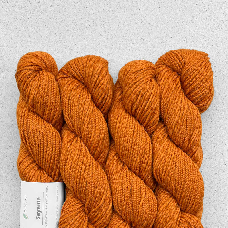 Pascuali Sayama Llama Wool DK Yarn