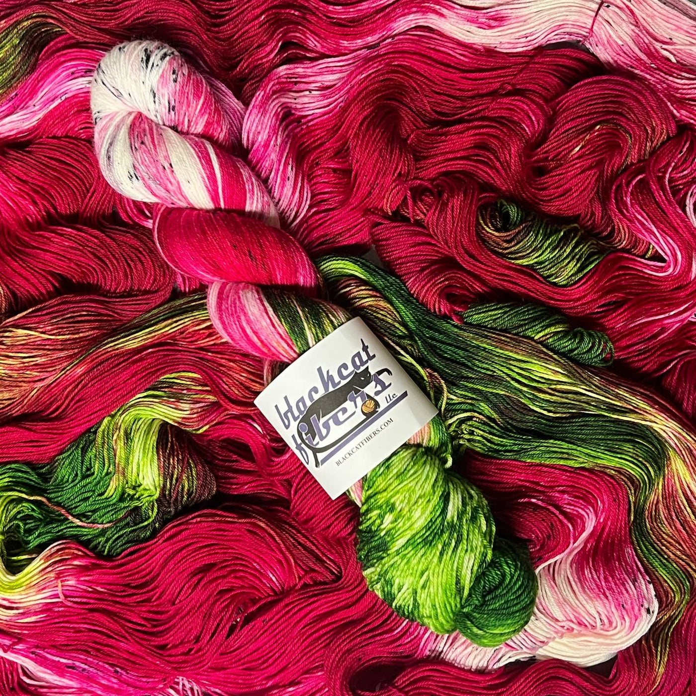 Black Cat Fibers Nomad Sock