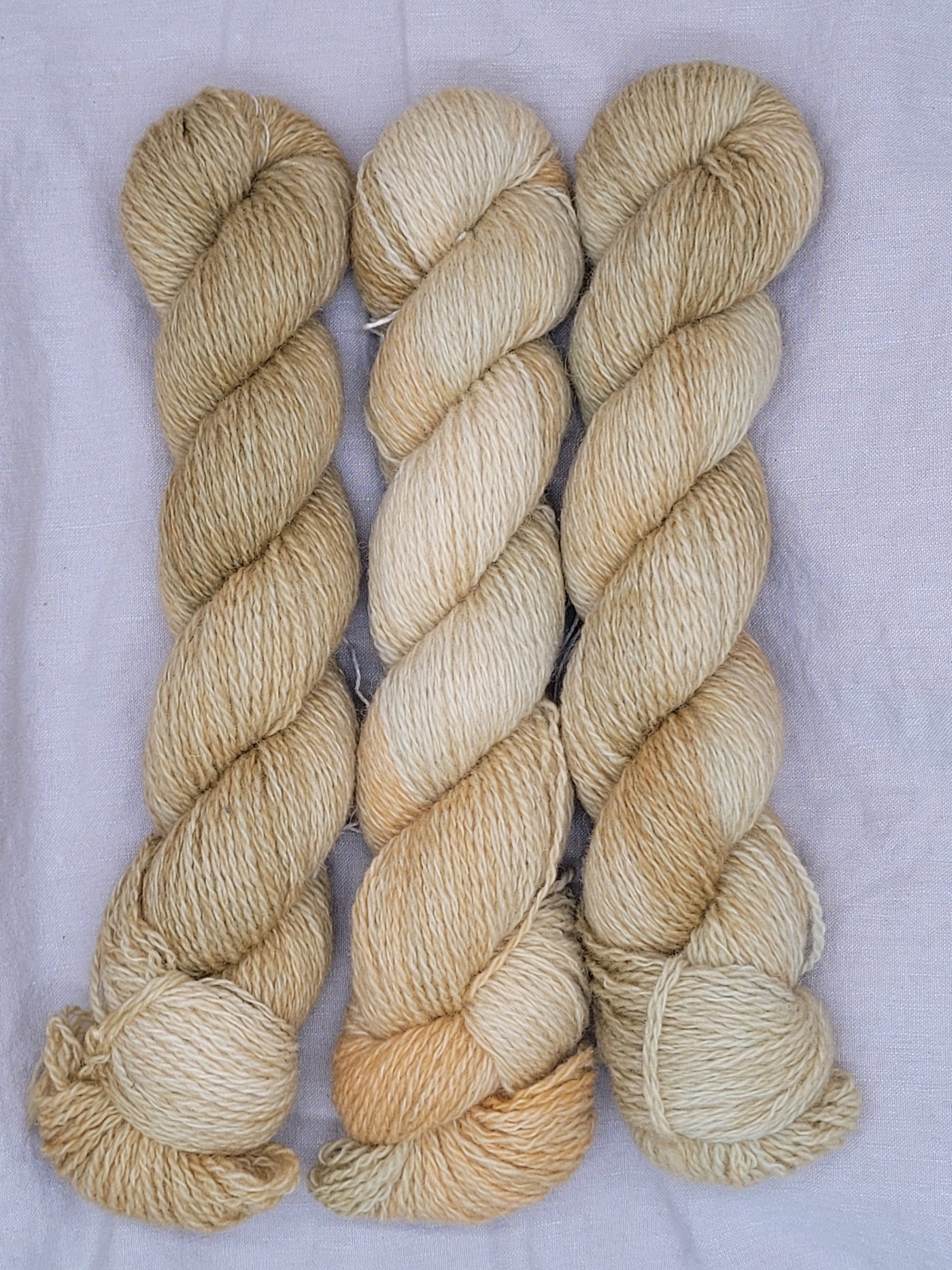 Plied Yarns North Ave Primaries Fingering Wool Knitting Yarn