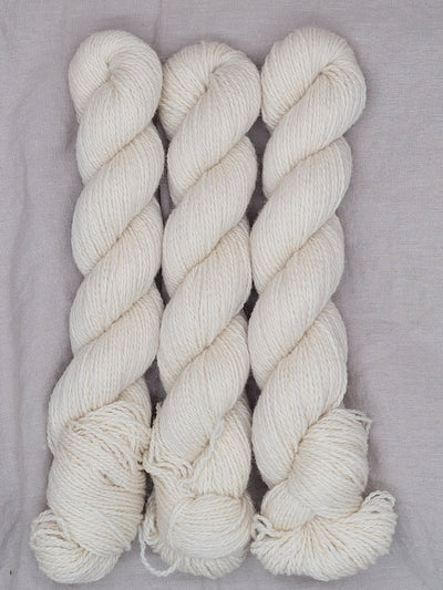 Plied Yarns North Ave Primaries Fingering Wool Knitting Yarn