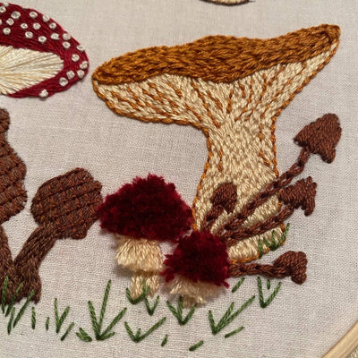 Stitches by Tiff Mushie Sampler Craft DIY Embroidery Kit