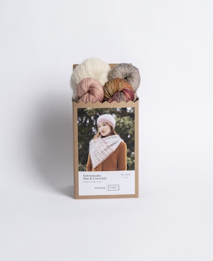 PREORDER Malabrigo and Blue Sky Fibers Holiday Kit 2025