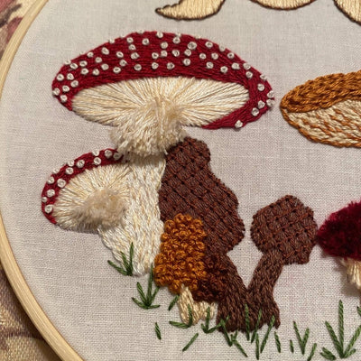 Stitches by Tiff Mushie Sampler Craft DIY Embroidery Kit
