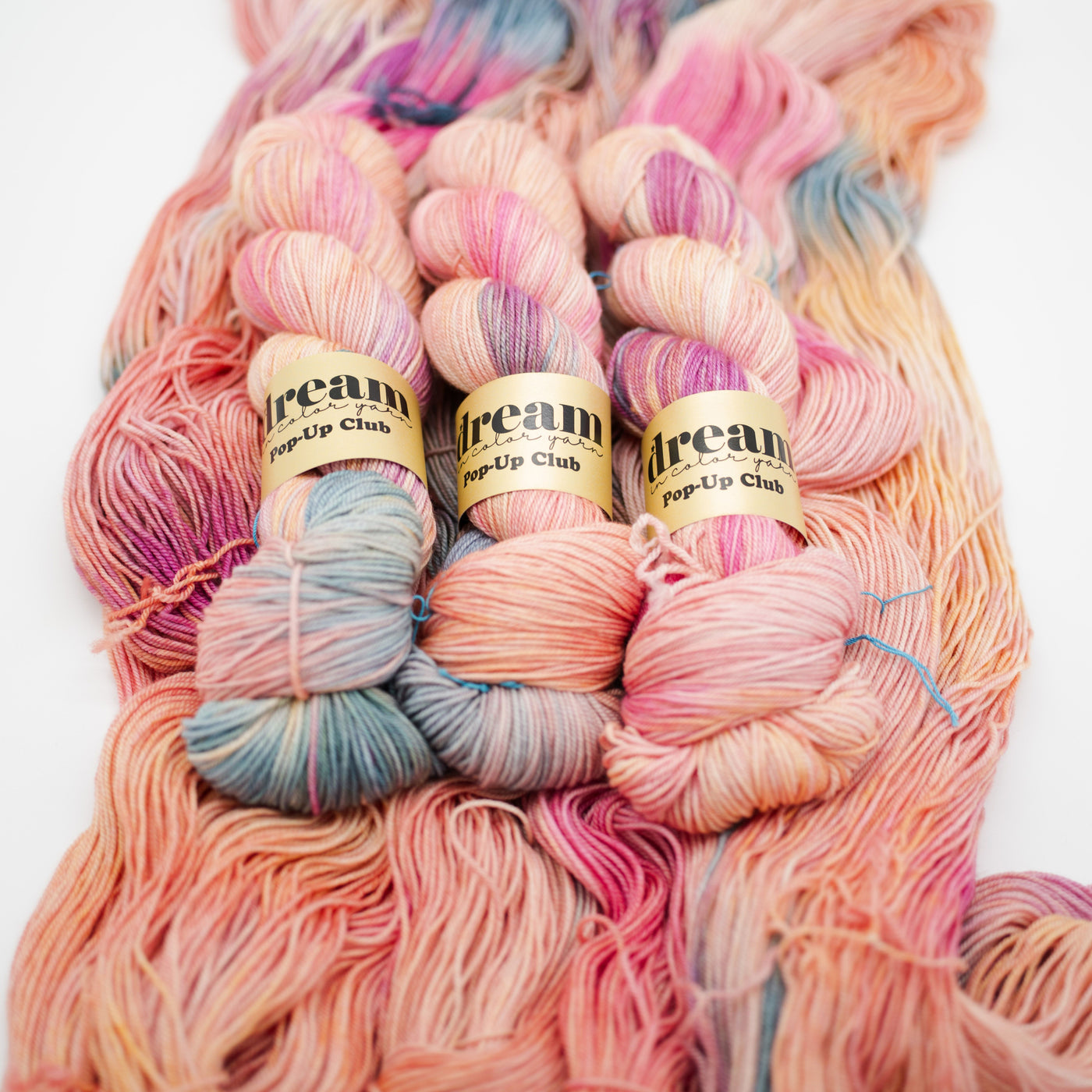 Dream in Color Smooshy Cashmere Fingering Knitting Yarn