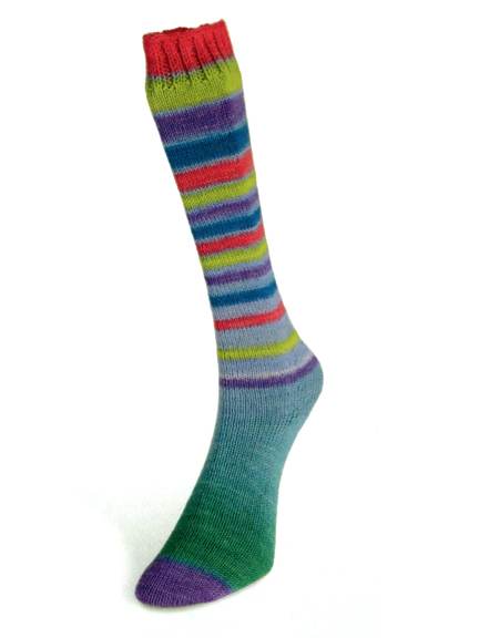 Laines du Nord Infinity Sock