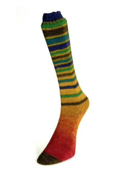 Laines du Nord Infinity Sock