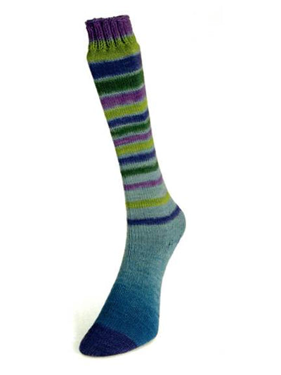 Laines du Nord Infinity Sock