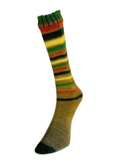 Laines du Nord Infinity Sock