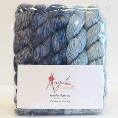 Anzula Squishy Skeinettes Kit