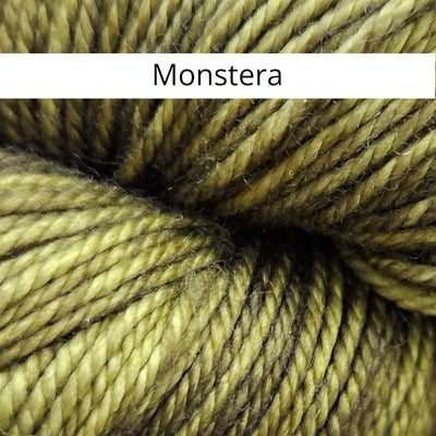 Anzula Squishy Fingering Merino Cashmere Blend Knitting Yarn