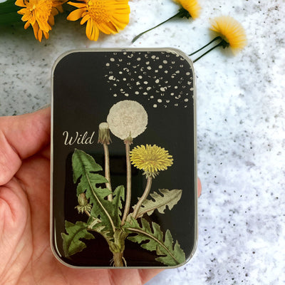 Firefly Notes Notions Tin