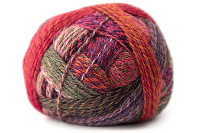 Schoppel Wolle Zauberball Crazy Wool Nylon Knitting Yarn