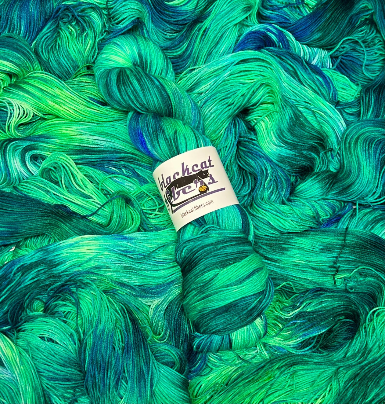 Black Cat Fibers Nomad Sock