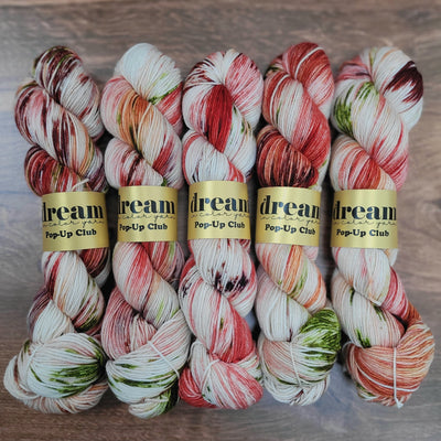 Dream in Color Smooshy Cashmere Fingering Knitting Yarn