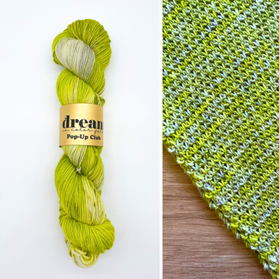 Dream in Color Smooshy Cashmere Fingering Knitting Yarn