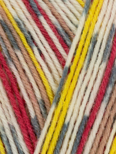 West Yorkshire Spinners Signature 4ply Country Birds