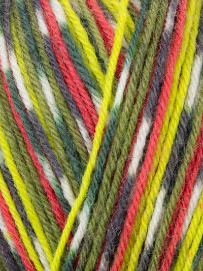 West Yorkshire Spinners Signature 4ply Country Birds