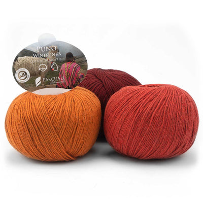 Pascuali Puno Winikunka Fingering Cotton Alpaca Knitting Yarn