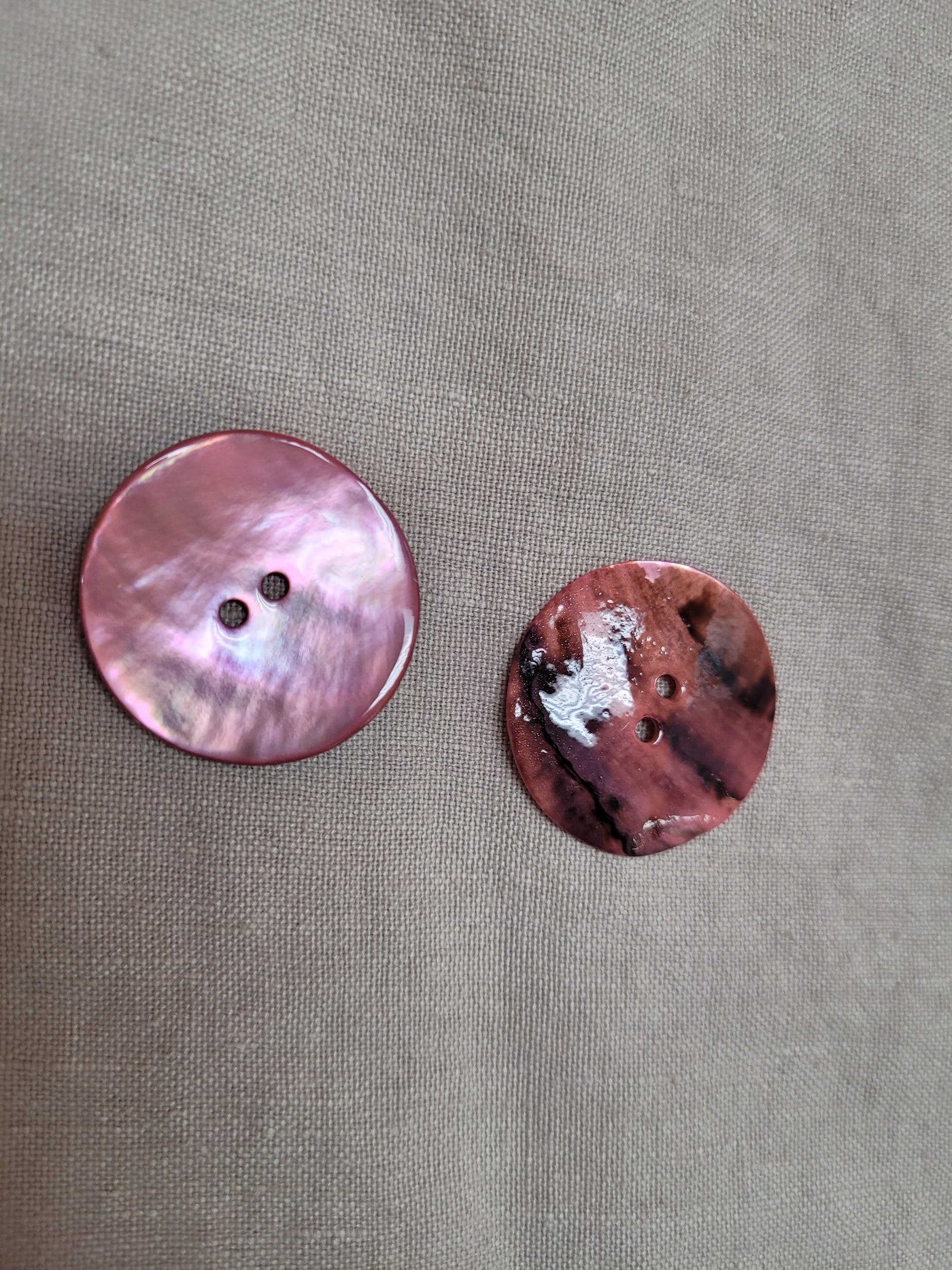 Round Agoya Shiny Shell Buttons by Skacel