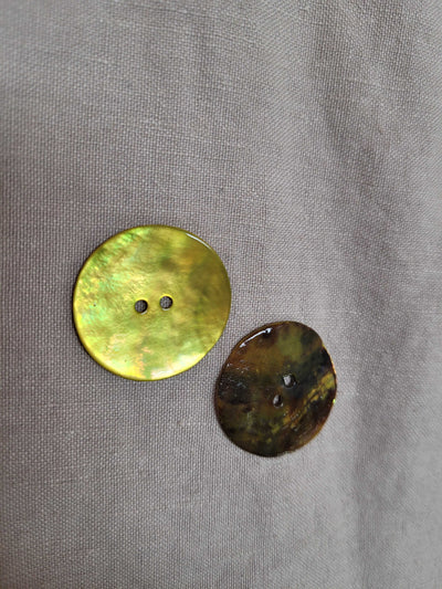 Round Agoya Shiny Shell Buttons by Skacel