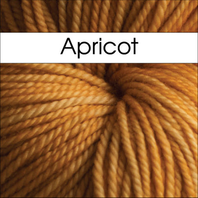 Anzula Squishy Yarn in Apricot - Fillory Yarn