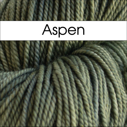 Anzula Squishy Yarn in Aspen color  - Fillory Yarn