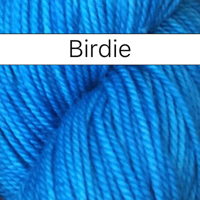 Anzula Squishy Yarn in Birdie - Fillory Yarn