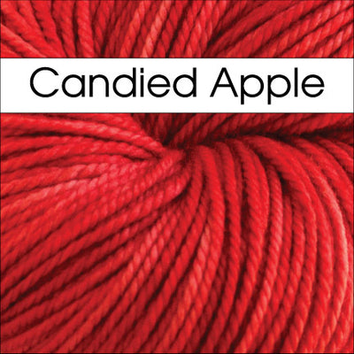 Anzula Squishy Yarn in Candied Apple - Fillory Yarn