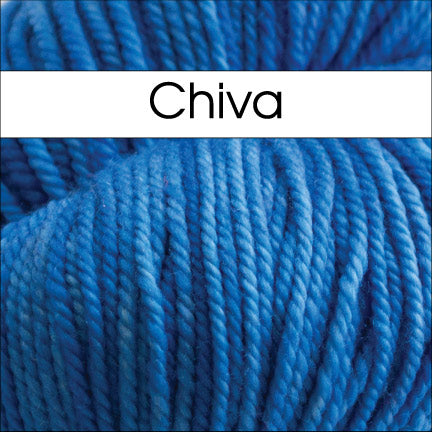 Anzula Squishy Yarn in Chiva  - Fillory Yarn