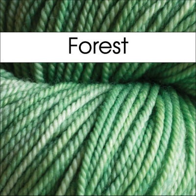 Anzula Squishy Yarn in Forest - Fillory Yarn