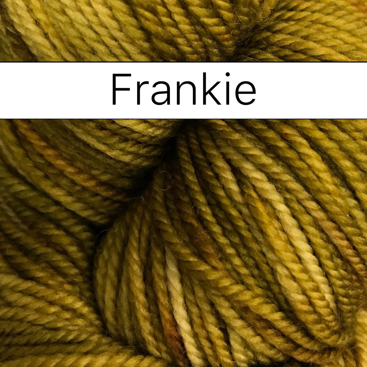 Anzula Squishy Yarn in Frankie - Fillory Yarn