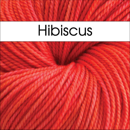 Anzula Squishy Yarn in Hibiscus - Fillory Yarn