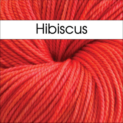 Anzula Squishy Yarn in Hibiscus - Fillory Yarn