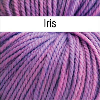 Anzula Squishy Yarn in Iris - Fillory Yarn