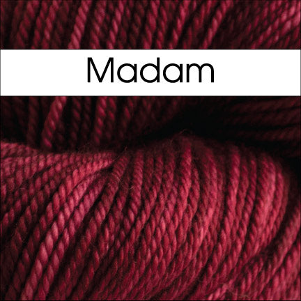 Anzula Squishy Yarn in Madam - Fillory Yarn