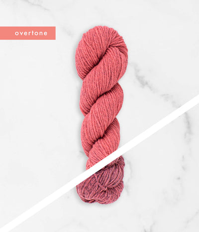 Brooklyn Tweed Tones Worsted Columbia Wool Knitting Yarn