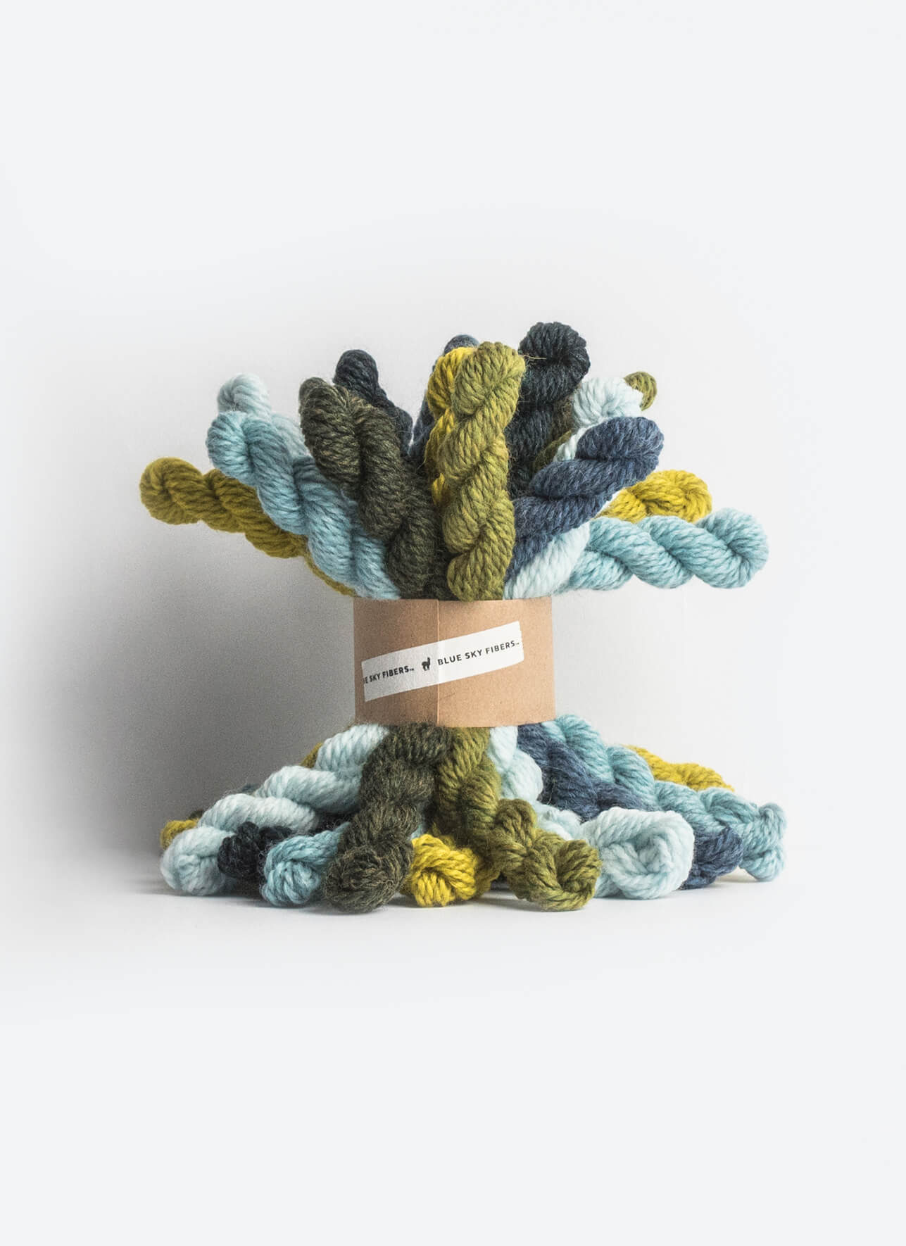 Blue Sky Fibers - Woolstok Bundle Kit | Multicolor